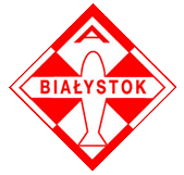 Custom Logo